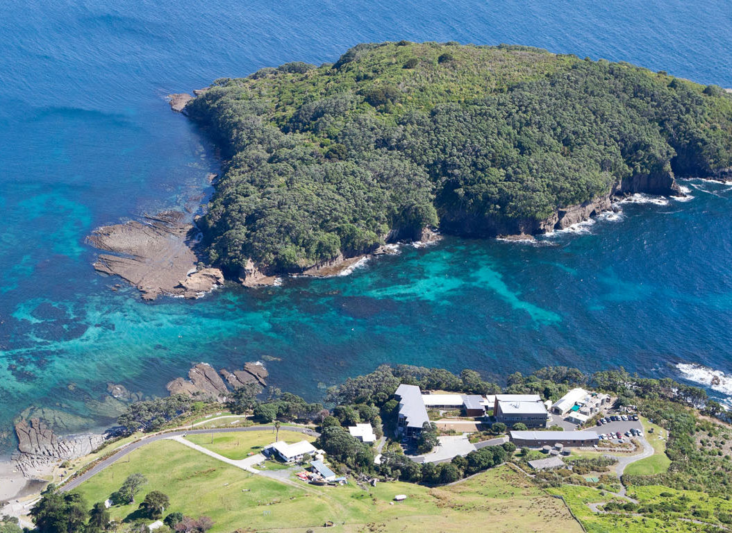 Goat Island from above